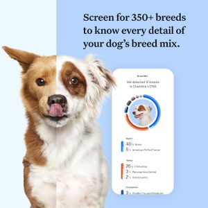 Wisdom Panel Dog DNA Test – Breed & Health Screening Kit