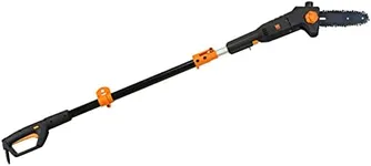 WEN 4019 6-Amp 8-Inch Electric Telescoping Pole Saw, Corded electric - Black&orange