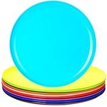 Youngever 9 Pack 25cm Re-usable Plastic Plates, Large Plates, Dinner Plates, Set of 9 (9 Rainbow Colors)