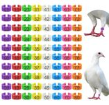 80 Pcs 8mm Pigeon Leg Bands with 8 Colors Numbered Quail Bird Identification Leg Bands Clip on Baby Poultry Leg Rings for Bantam Finch Dove Lovebird Coturnix Quail Small Birds