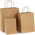 Tia Crafts Disposable Brown Kraft Paper Bags Twisted Paper Handles - Gifting Bags Thank You Bags for Return Gift Shopping cloths Birthday, Christmas, wedding parties gifting (Large - 20 bags)