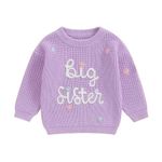 PanLidapan Sister Matching Fall Winter Outfit Clothes Big Sister Jumper Little Sister Sweater Toddler Baby Girl Knitted Pullover Top (Purple Big Sister, 2-3 Years)