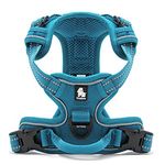 WINHYEPET True Love Dog Harness, No-Pull Reflective Pet Harness with 2 Leash Clips Adjustable Soft Padded Dog Vest with Easy Control Handle for Small Medium Large Dog TLH5651(Blue,M)