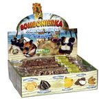 12x FRUIT EXOTIC STICKS Collection - Hamster Small Animal Rodents Food Treats Stick Mice Rabbit Gerbil Degu Guinea Pig Rat Mice