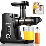 AMZCHEF Slow Juicer Machine - Cold Press Juicer with Two Speed Modes and LED Display - Masticating Juice Extractor with Travel Bottle and 2 Cups, Cleaning Brush - Black