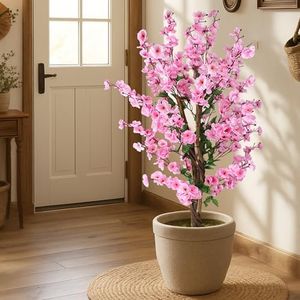Plante Art