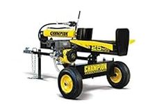 Champion Power Equipment-100251 25-