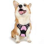 rabbitgoo Dog Harness Medium No Pull Pet Harness with 2 Leash Clips, Adjustable Soft Padded Pet Vest Harness, Reflective No-Choke with Easy Control Handle for Training or Walking, Pink, M