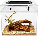 Reptile Growth Mini Reptile Terrarium,8" x 8"x 8" Reptile Tank with Full View Visually Appealing,for Insect,Fish,Tarantula,Hermit Crab,Jumping Spider,Iguana,Tortoise,Leopard Gecko,Frog,Bearded Dragon