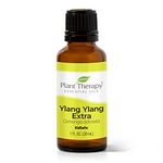 Plant Therapy Ylang Ylang Extra Essential Oil 30 mL (1 oz) 100% Pure, Undiluted, Therapeutic Grade