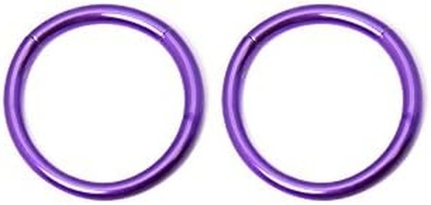 BodyJewelryOnline Sold in Pairs - 16Ga-3/8(10Mm) Seemless Segment Ring I.P. Coated 316L Surgical Steel Great for Nose, Ears, Septum, Eyebrow, Cartilage, Lip - 7 Colors (Purple)