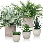 Lighterday Set of 5 Artificial Plants Indoor,Fake Plants Indoor Decorative Artificial Plants In Pots Succulents Plants Faux Plants Plastic Plants for Office Desk Bedroom House Decor