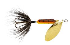 Spinner Bait For Trout