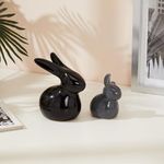 amazon basics Home Décor Ceramic Rabbit Figurines (Set of 2, Black and Grey)