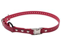 Educator Quick Snap Bungee Dog Collar, Biothane, Waterproof, Odorproof, Easy Connect and Disconnect Clasp and D Ring with Comfort Bungee Loop, Adjustable for Custom Fit, 3/4-Inch, Red