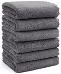 Orighty 6 Pack Premium Hand Towels - Ultra Soft & Highly Absorbent - Microfiber Coral Velvet for Bathroom, Gym, Shower, Spa, Quick Drying Hand Towel 15 x 25 inches (Grey)