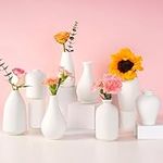 8 Pack Ceramic Bud Vase, White Cera