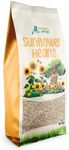 Premium Wild Bird Food 5L Refill, (