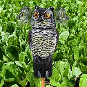 Owl Decoys