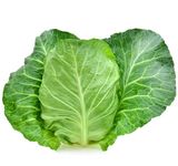 Winter Cabbage Plants - 'Durham Early' - Plug Plant Pack - Cabbage Plants - Winter Veg Plug Plants - Outdoor Plants - Garden Ready + Ready to Plant - Premium Quality Plants (6)