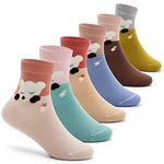 Girls Cotton Crew Socks Kids Seamless Toe Socks Cartoon Dress Socks for Girls 6 Pack 4-6 Years Bears