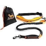 Barkswell Hands Free Dog Lead - Running Dog Lead with Waist Belt - Strong Bungee Dog Lead with Dog Walking Belt - Comfortable Dog Running Lead Hands Free with Waist Belt/Waist Dog Lead for Walking