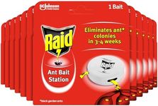 Raid Ant Bait Station, Long Lasting