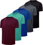 5 Pack: Boys Mesh Short Sleeve Shir