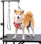 Breeze Touch Dog Grooming Arm - 35"