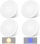 Acegoo RV Ceiling Dome Light 4.5 In
