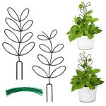 AUGSUN 2 Packs Indoor Plant Trellis Garden Trellis for Climbing Plants, 12 Inch Metal Leaf Shape Small Trellis for Potted Plants Plant Support for Houseplant with 50 Ties