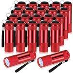 VIHOSE 20 Pcs Mini Flashlights Bulk, Bright Aluminum Handheld Flash Light with Lanyard Small LED Flashlights for Kids Night Reading Emergency Hurricane Camping Hiking, Batteries Not Included(Red)