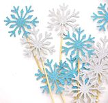 Confetti! - Frozen Snow Flake Cupcake Toppers Toothpicks, Sliver/Blue/Snow (Pack of 20)