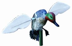 MOJO Outdoors Green Wing Teal Motion Duck Decoy,One Size,HW8101