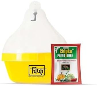 Chipku Melonfly Glass Trap phermone Trap for bactocera Cucurbitae/Insect Trap for Orchards and Climer Crops with pheromone Lure Combo Pack of 25