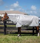 Horseware® Amigo® Bug Rug Plus Fly 