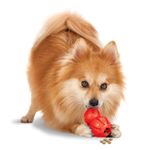 Petsafe New Pet Toys