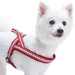 Blueberry Pet Soft & Comfy 3M Reflective Jacquard Padded Dog Harness, Chest Girth 30" - 38.5", Marsala Red, Large, Adjustable Harnesses for Dogs