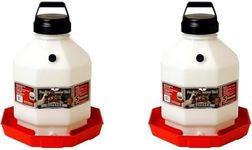 Little Giant PPF5 5 Gallon Automatic Poultry Waterer for Chickens, Red (2 Pack)