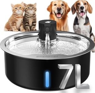 Dog Water 