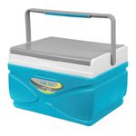 Pinnacle's Chiller Ice Box 4.5 L : Prudence Small Ice Cube Box for Travelling | Keep Cold Upto 24 hours |Fits 6 Cans |Cooler Box for Drinks | Ice cooler box for Car | Medical Purpose |BPA free (Hydra)