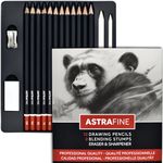 ASTRAFINE Sketching Pencils, 16Pcs Set, 12B to 6H Drawing Pencils with 2 Blending Stumps, Eraser, and Sharpener. Art Pencils for Sketching, Drawing, Shading and Illustrations