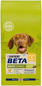 BETA Adult