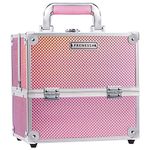 Frenessa Makeup Box Cosmetics Case Jewelry Organiser Vanity Make Up Storage Box Beauty Train Case Lockable with Keys (Mermaid Pink)