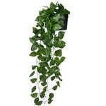 Tdas Artificial Plants with Pot Leaves Hanging Ivy Garlands Plant Greenery Vine Creeper Home Decor Door Wall Balcony Decoration Party Festival Craft (1 Pcs Money Plant)