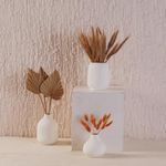 Purezento Bottle and Garlic Shaped Matt White Colour Ceramic Flower Vase Decor Showpiece for Home and Office or Living Room | Diwali Decoration Items Gifting | Flowers Holder for Decor | Set of 3