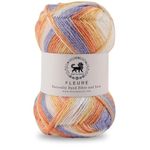 Nestnhaven Acrowools Fleure Hand Knitting and Crochet Yarn. Pack of 1 Ball - 100gms. Shade no - NNHF (Multicolor13)