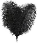 Soarer Black Ostrich Feathers Bulk 