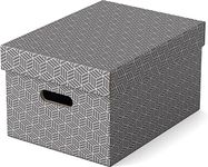 Esselte Medium Storage Box With Lid