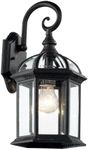 Trans Globe Lighting 4181 BK Wentwo